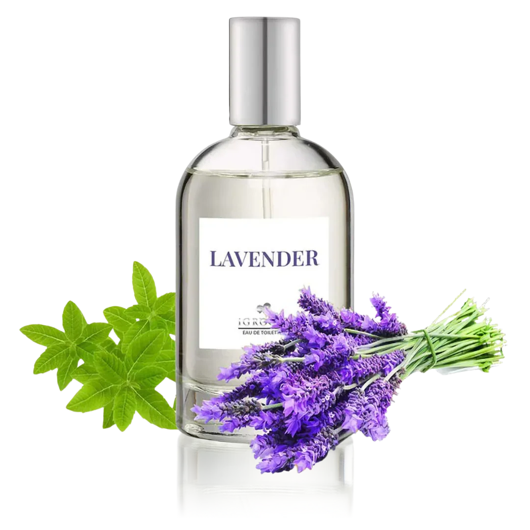 Lavender Perfume 100ml by iGroom - Image 2