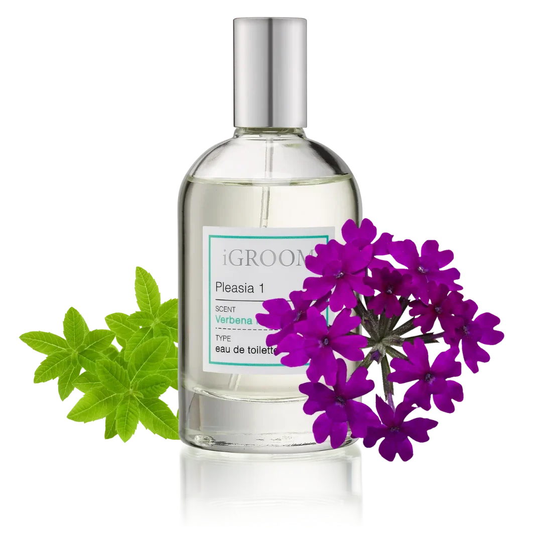 Pleasia 1 Perfume 100ml by iGroom - Image 2