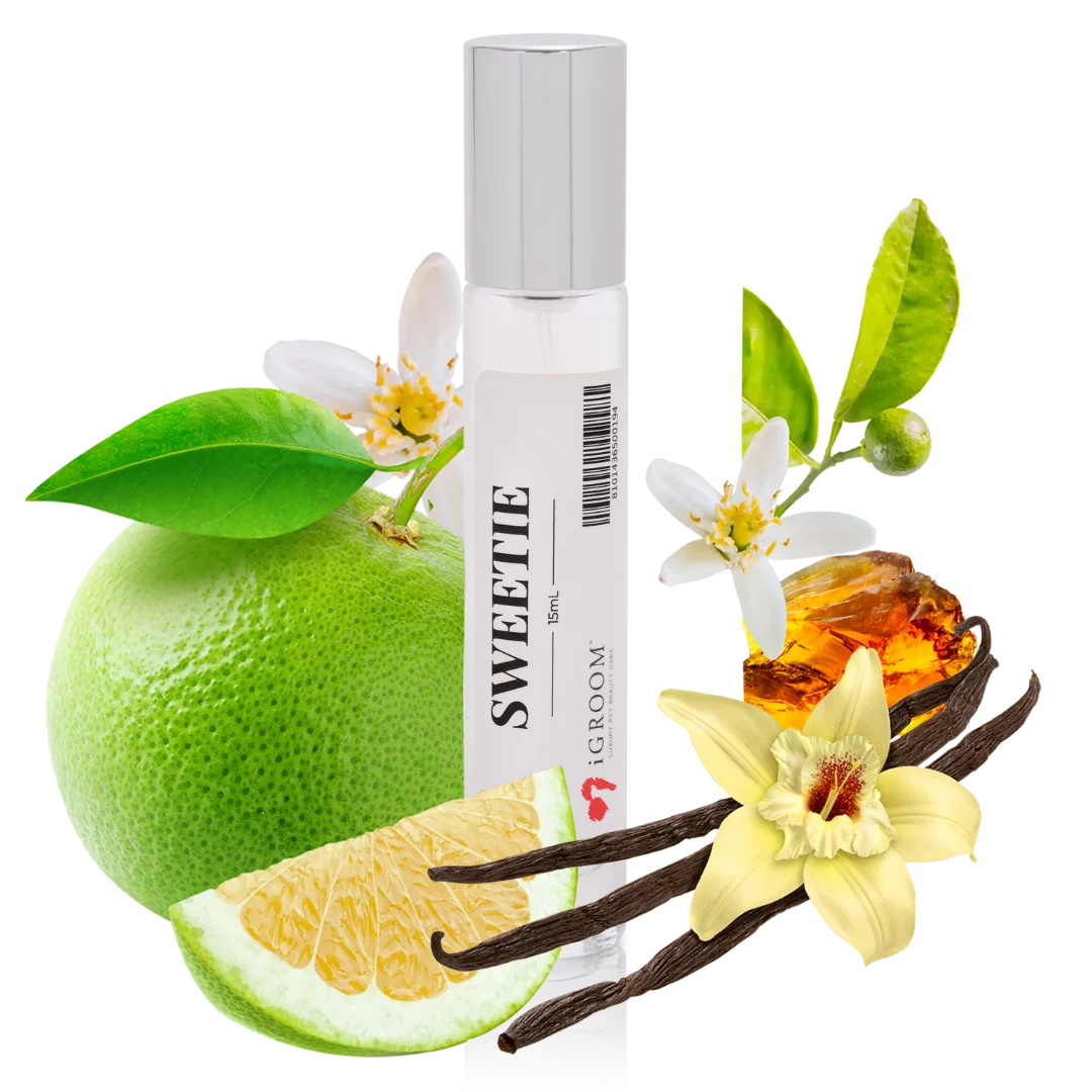 Sweetie Perfume 15ml by iGroom - Image 2