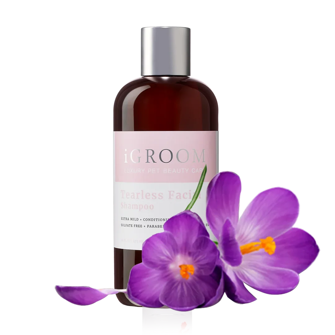 Tearless Facial Shampoo 16oz by iGroom - Image 2