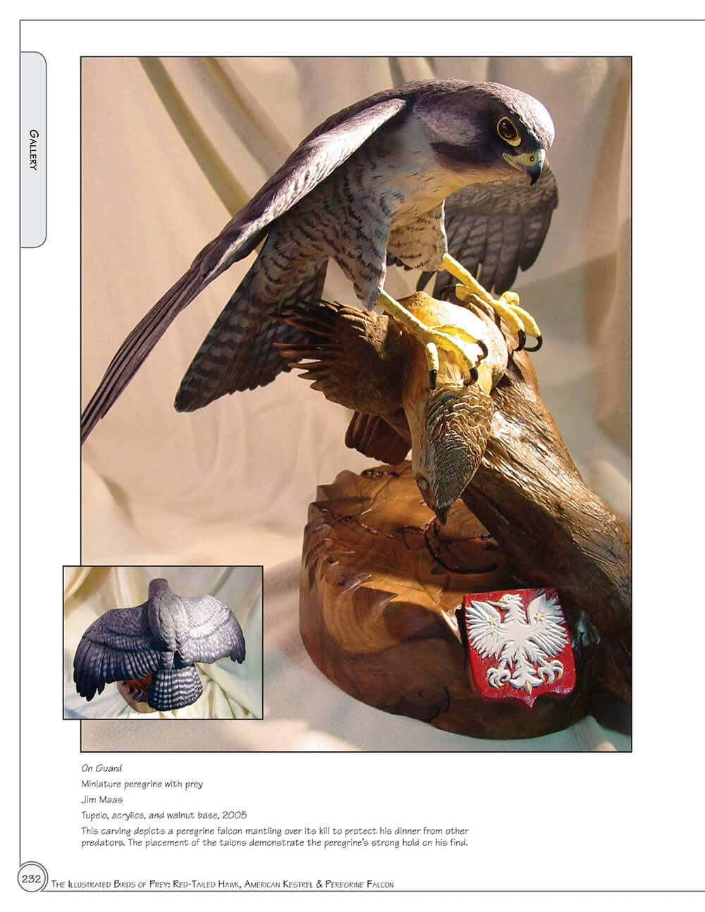 Illustrated Birds of Prey: Red-Tailed Hawk, American Kestral, & Peregrine Falcon - Image 10