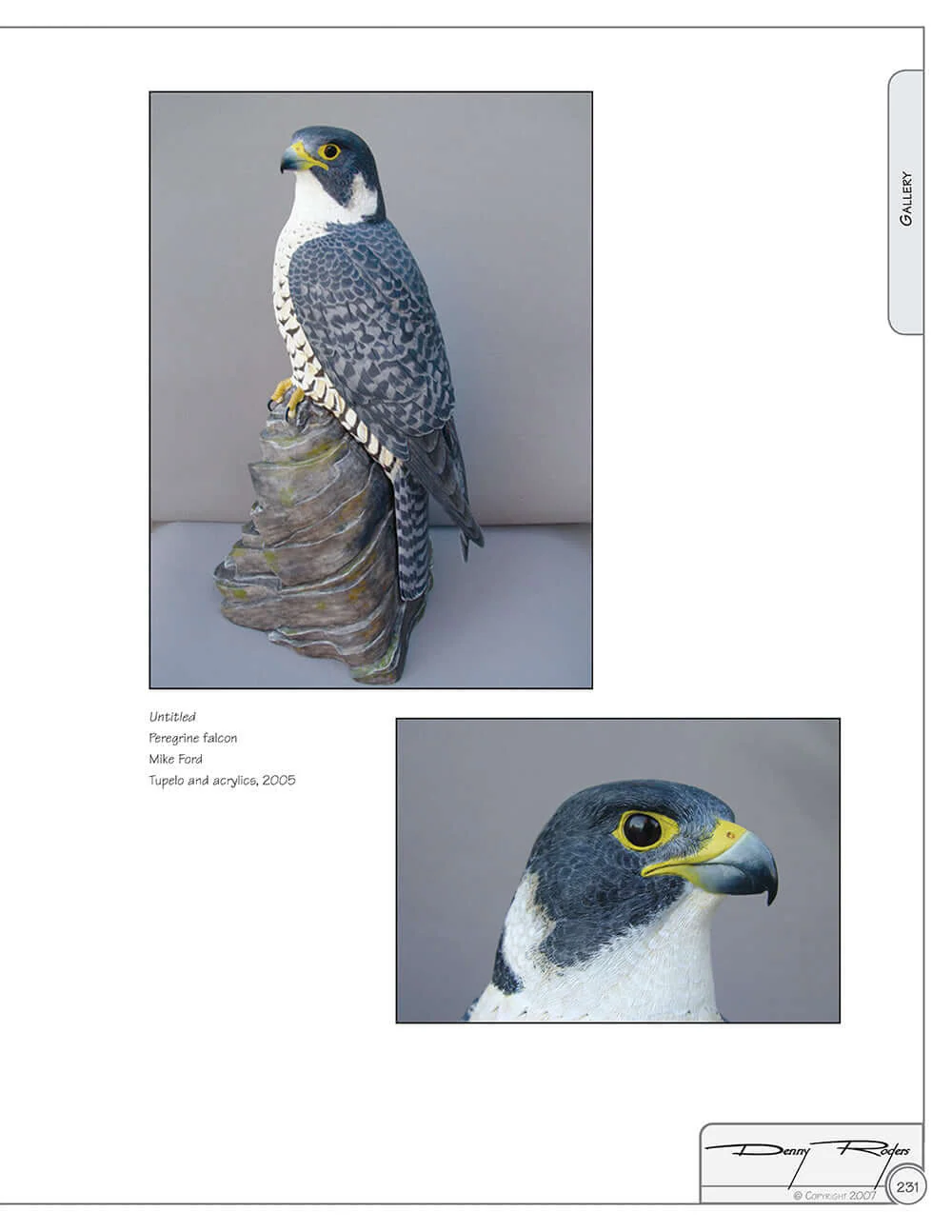 Illustrated Birds of Prey: Red-Tailed Hawk, American Kestral, & Peregrine Falcon - Image 6