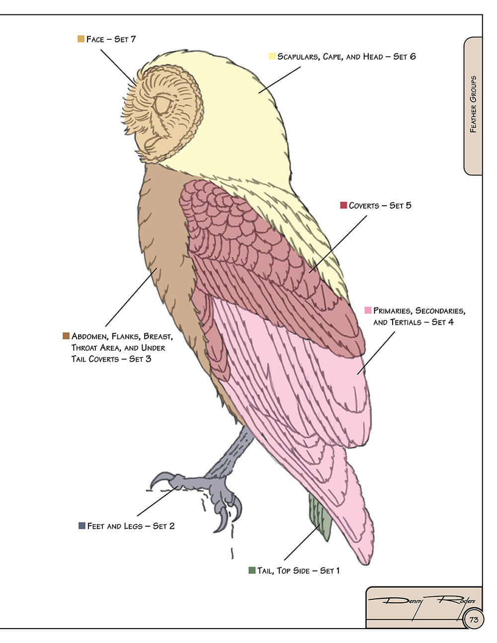 Illustrated Owl: Barn, Barred & Great Horned - Image 9