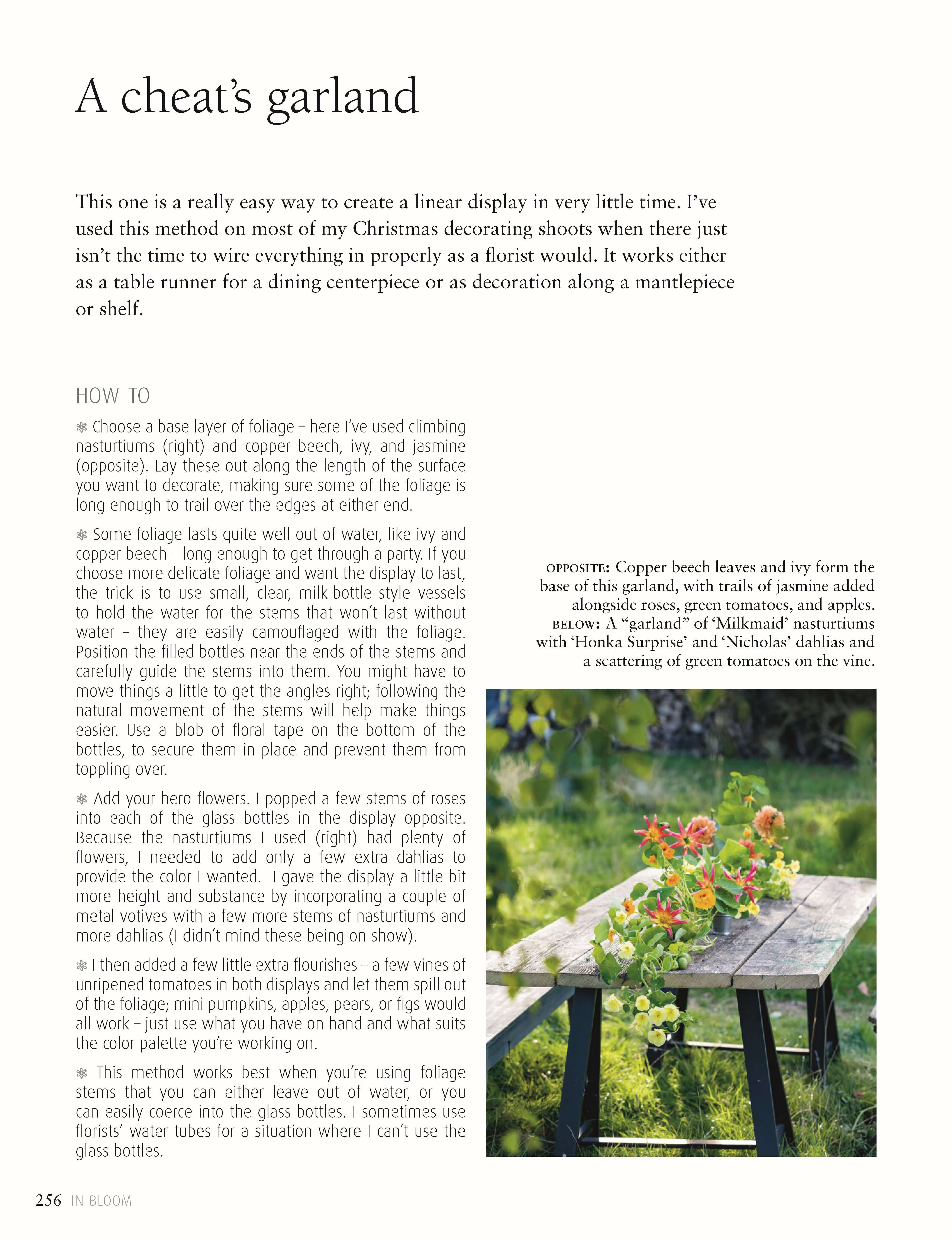 In Bloom - Image 5