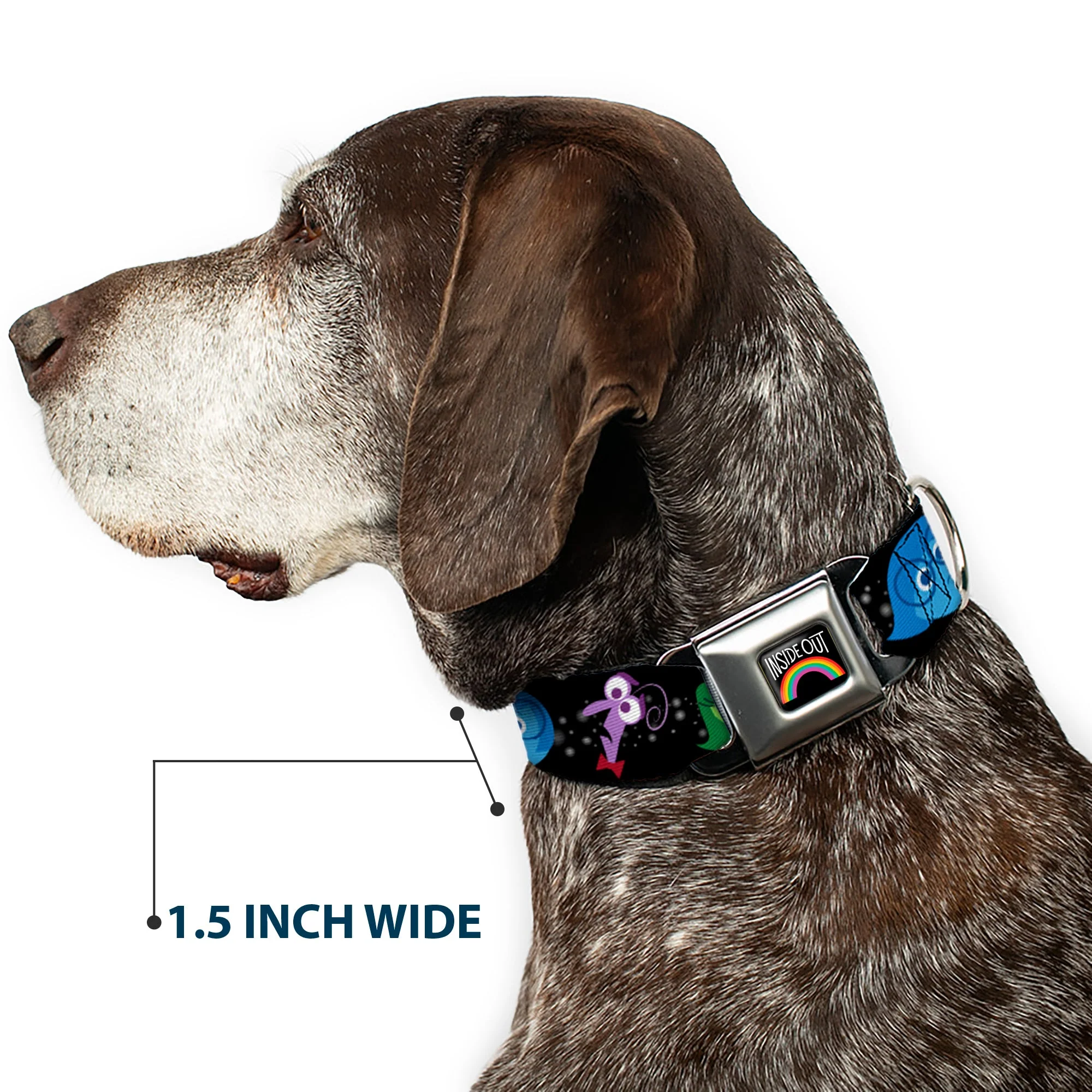 INSIDE OUT Rainbow Full Color Black/White/Multi Color Seatbelt Buckle Collar - INSIDE OUT/Emotion Expressions/EVERY DAY IS FULL OF EMOTIONS - Image 7