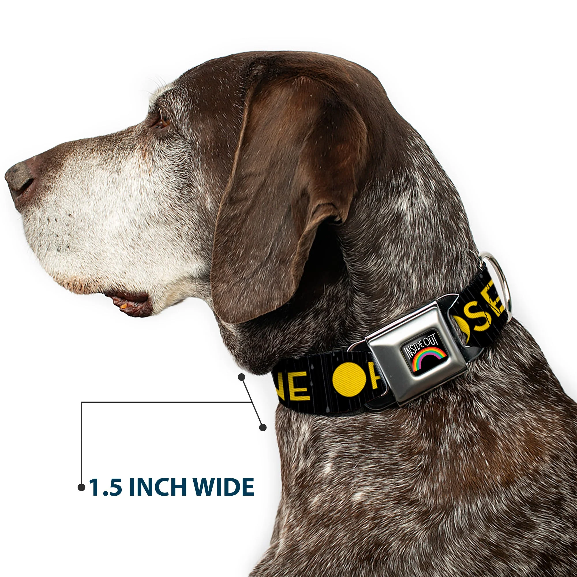 INSIDE OUT Rainbow Full Color Black/White/Multi Color Seatbelt Buckle Collar - Joy Poses/Rain ONE OF THOSE DAYS Black/Gray/Blues/Yellow - Image 7