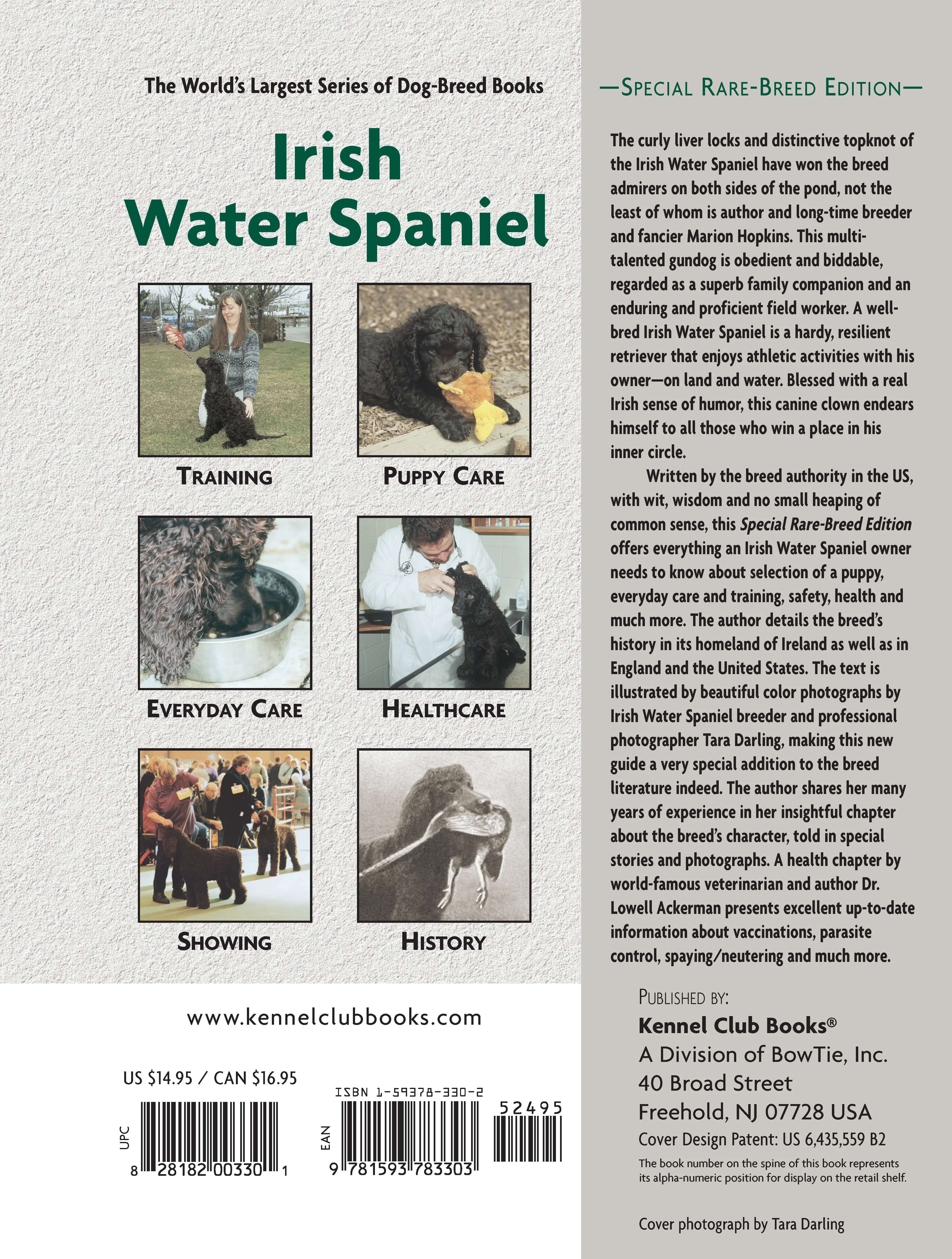 Irish Water Spaniel - Image 7