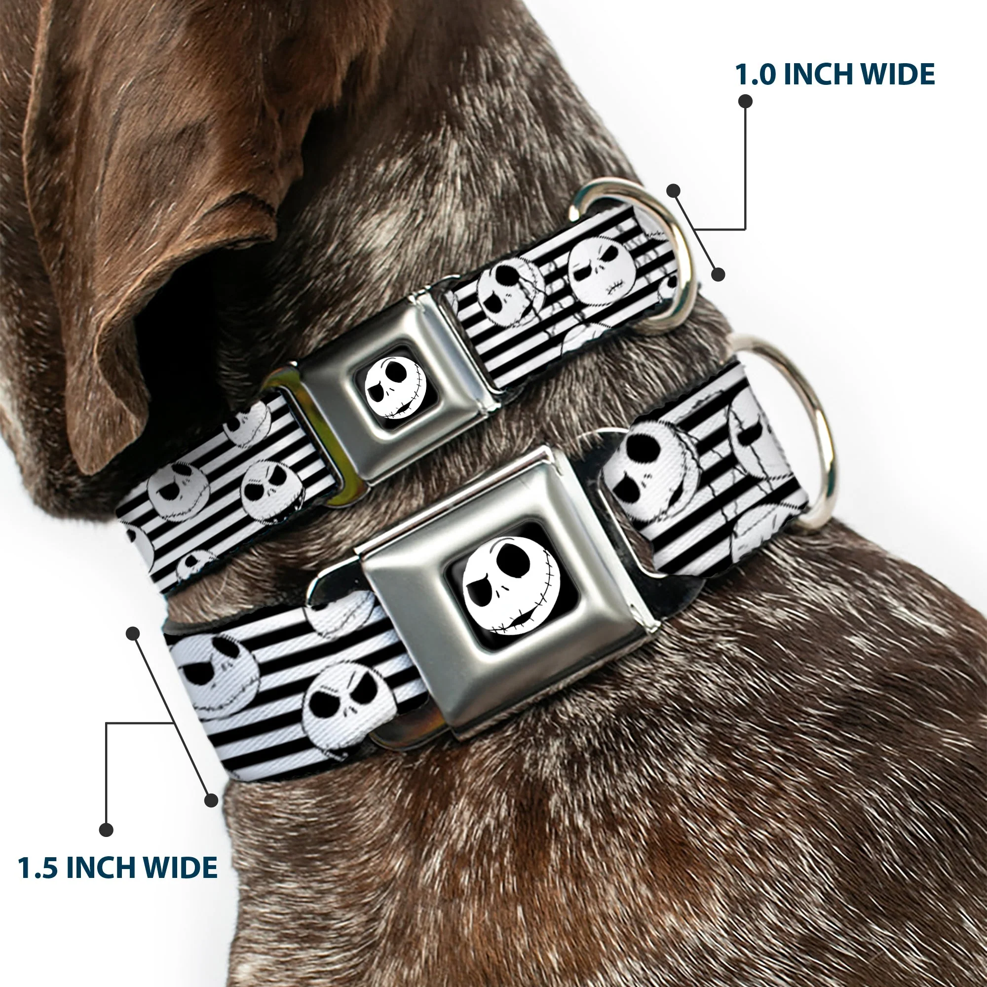 Jack Expression2 Full Color Seatbelt Buckle Collar - Jack Expressions/Stripe White/Black - Image 2