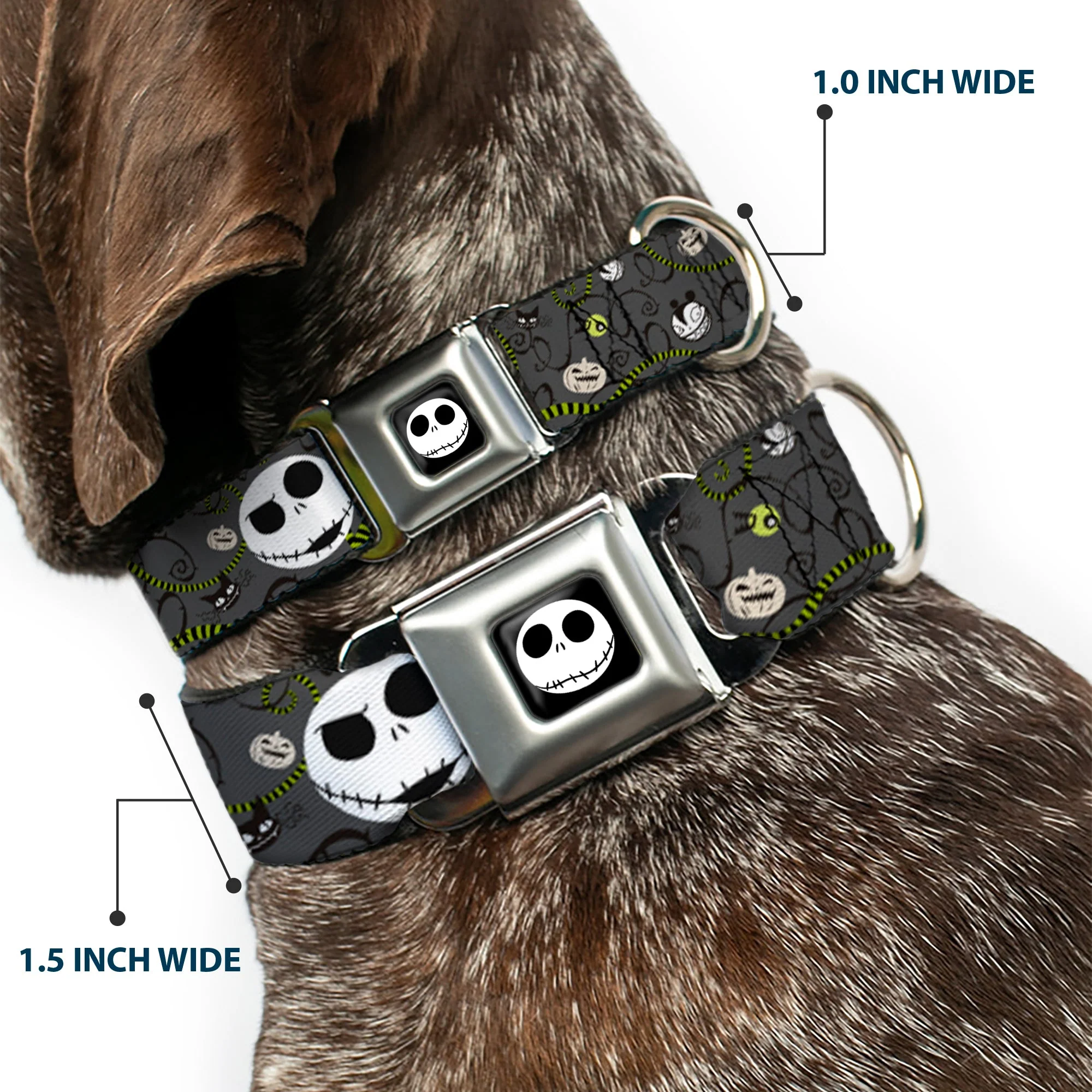 Jack Expression4 Full Color Seatbelt Buckle Collar - NBC Jack Expressions/Halloween Elements Gray - Image 2