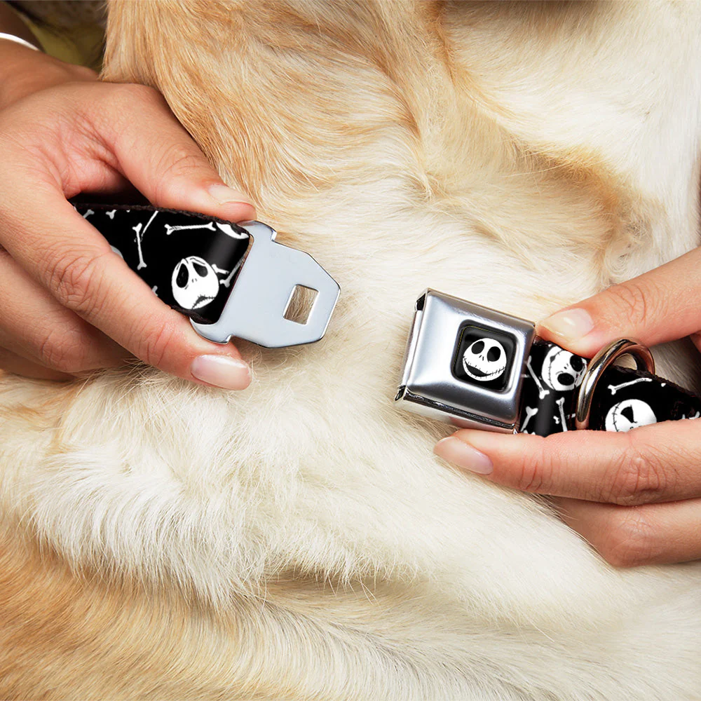 Jack Expressions/Bones Scattered Full Color Black/White Seatbelt Buckle Collar - Jack Expressions/Bones Scattered Black/White - Image 8