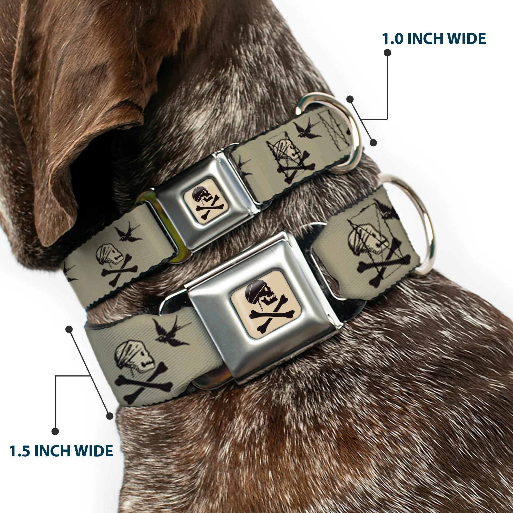 Jack Sparrows Flag Skull Icon Gray Charcoal Seatbelt Buckle Collar - Jack Sparrows Flag Icons Grays - Image 2