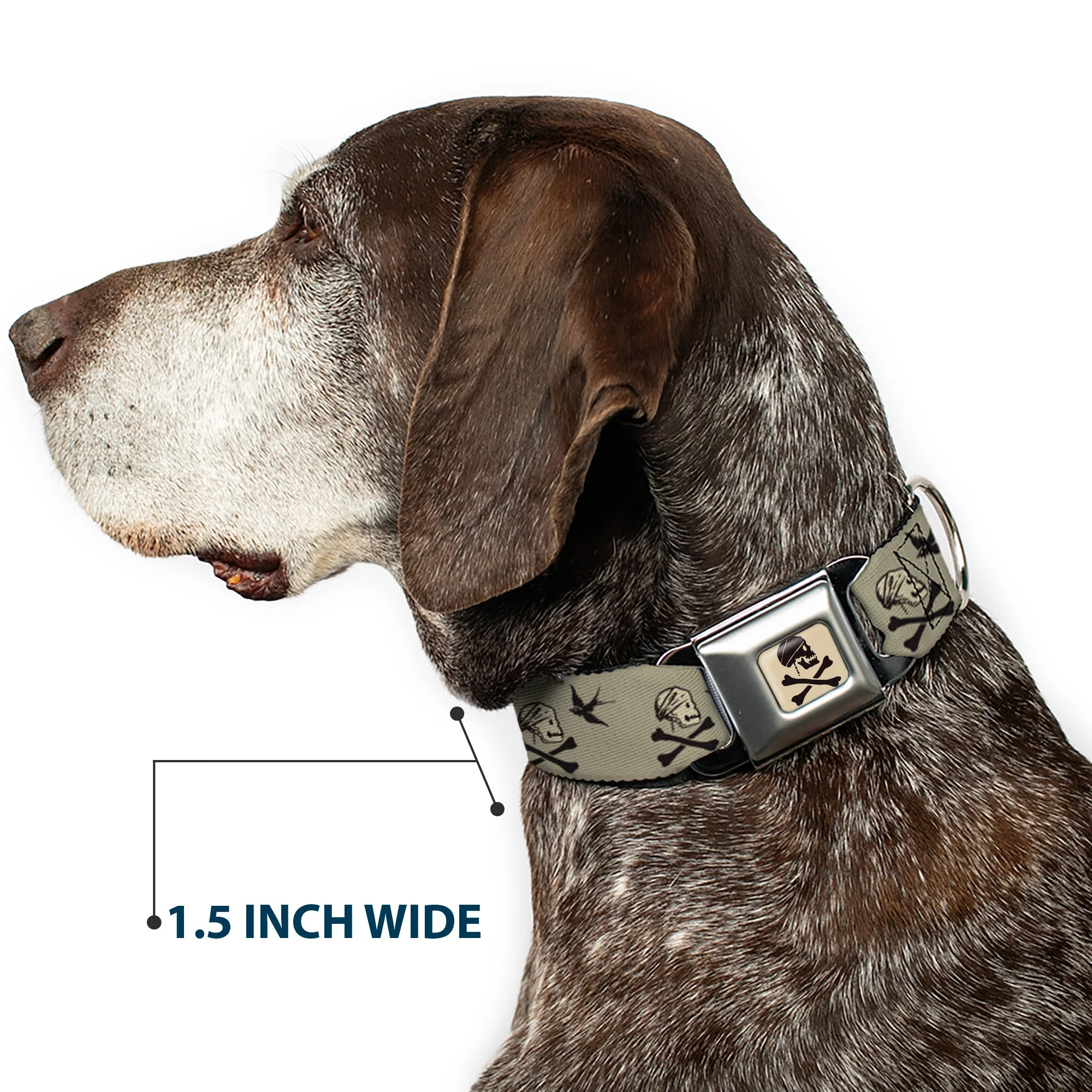 Jack Sparrows Flag Skull Icon Gray Charcoal Seatbelt Buckle Collar - Jack Sparrows Flag Icons Grays - Image 7