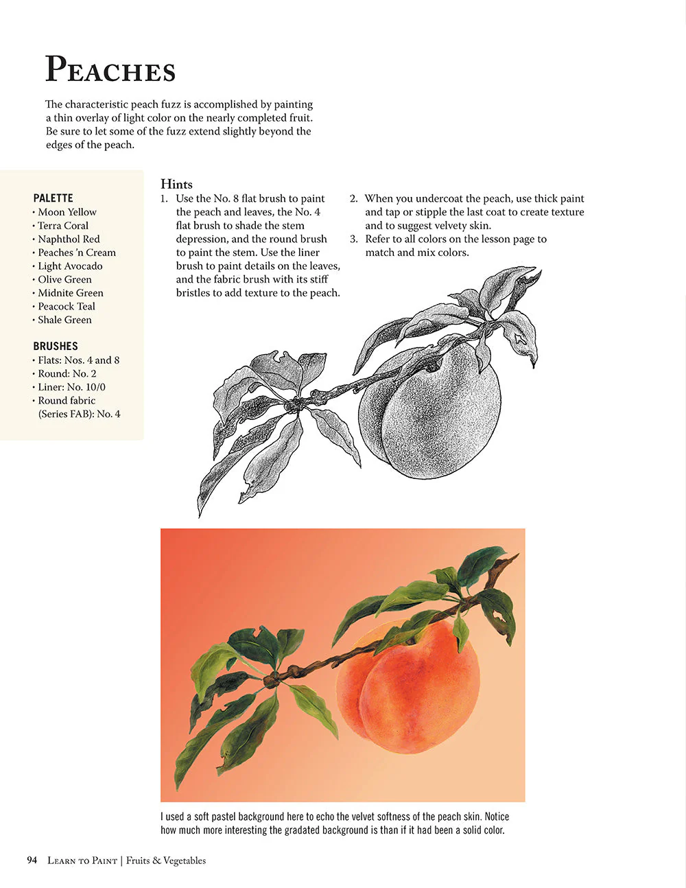 Jackie Shaw's Learn to Paint Fruits & Vegetables - Image 4