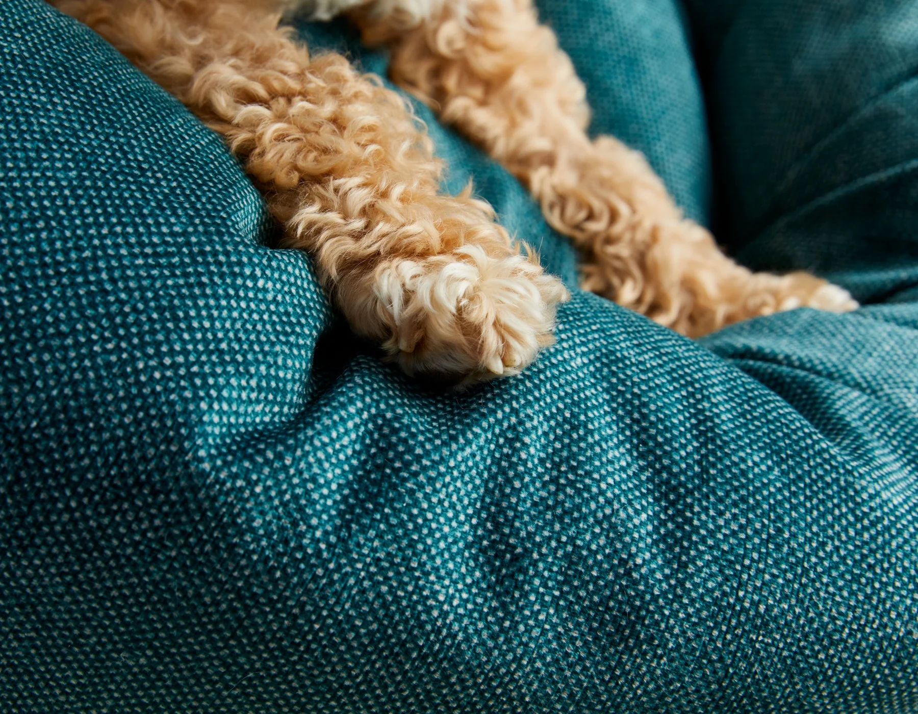 Jax & Bones Jadebud Donut Bed Beds - Image 4