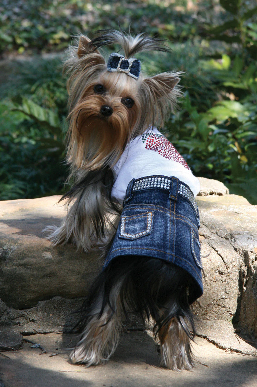 Jane Denim Skirt with Rhinestones - Image 4
