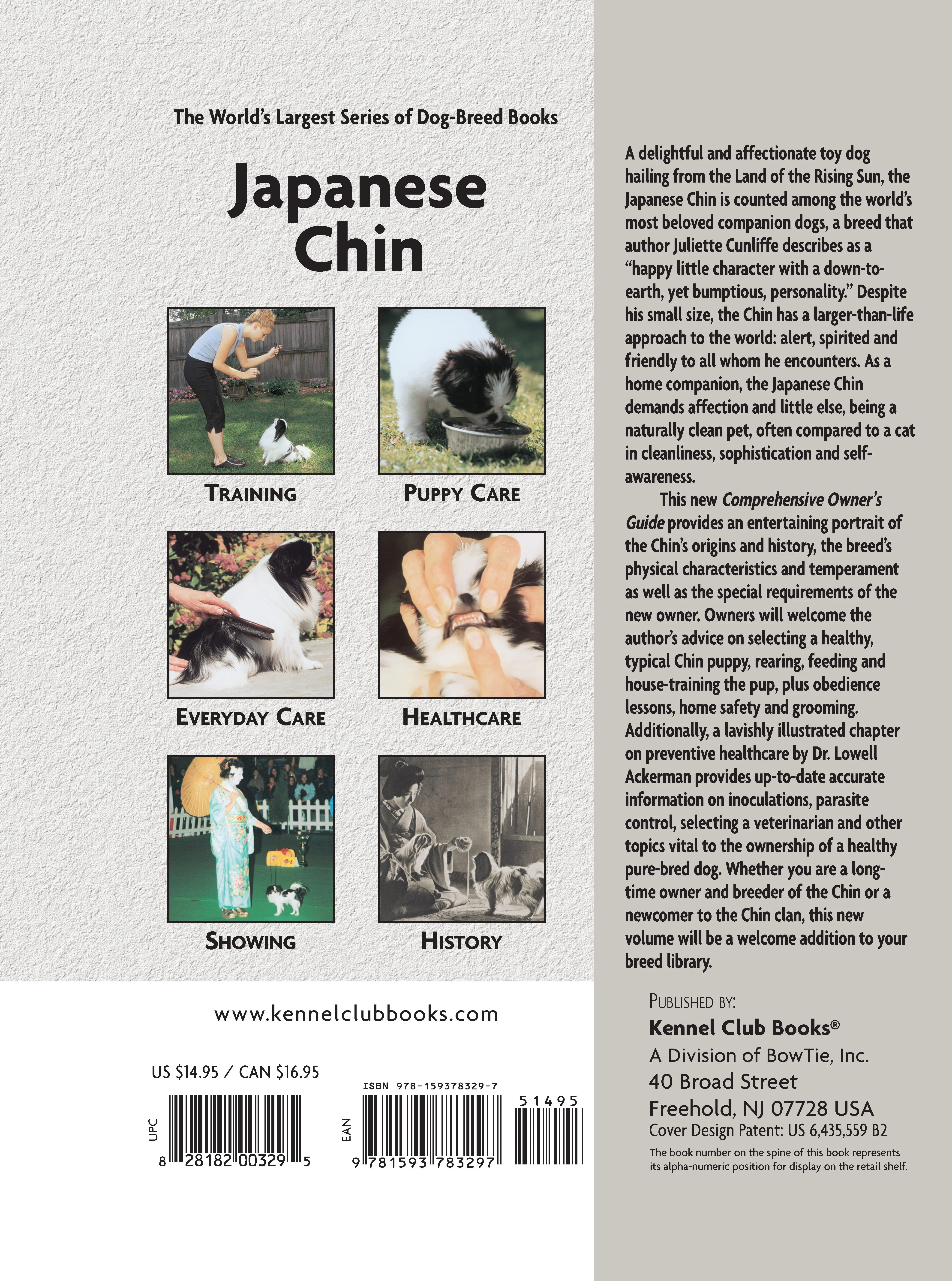 Japanese Chin - Image 2