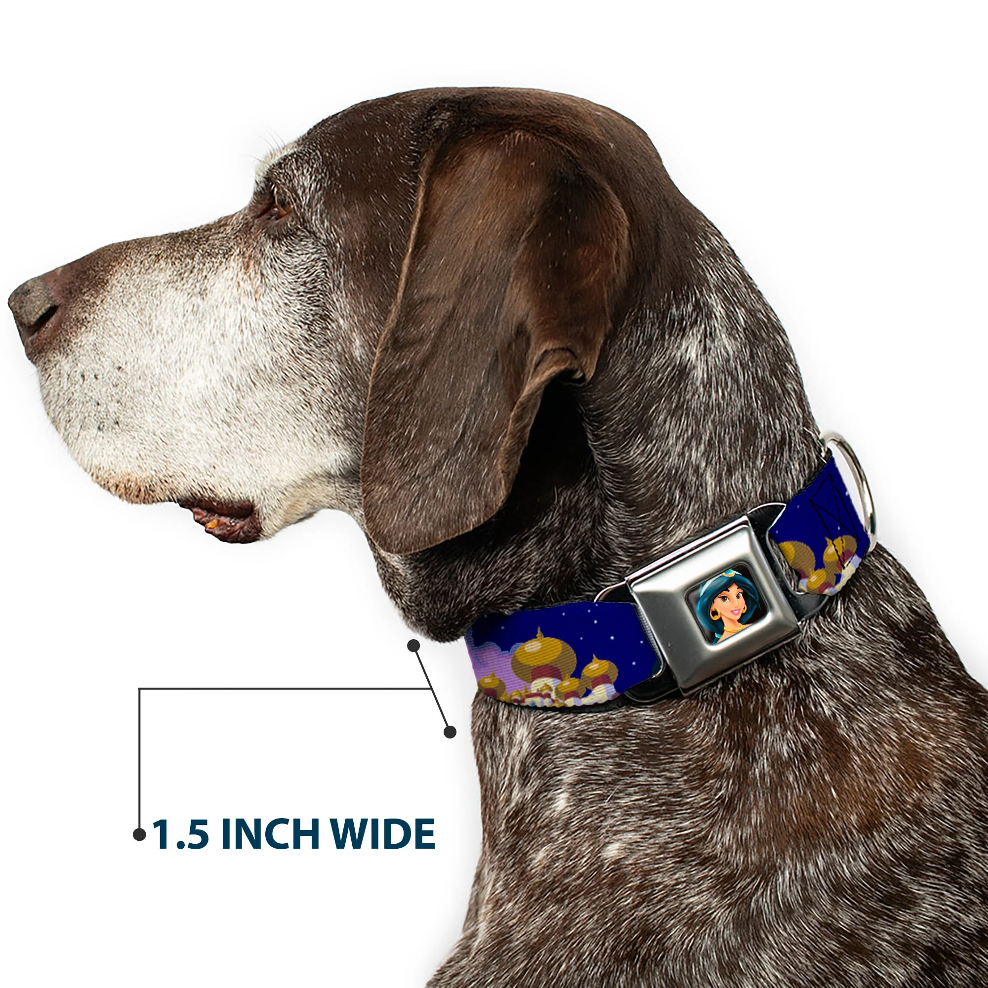 Jasmine CLOSE-UP Full Color Seatbelt Buckle Collar - Aladdin & Jasmine Magic Carpet Ride Scenes - Image 7