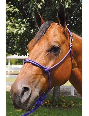 Jeffers Easy-On Clip Nylon Rope Horse Halter with Lead - Image 8