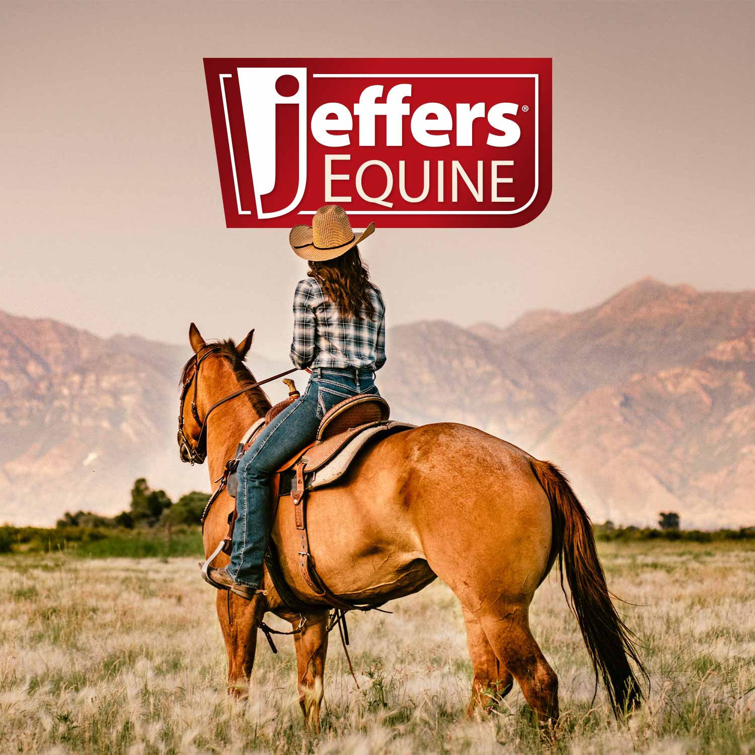 Jeffers Equine Black Coat Intensifying Horse Shampoo for Black & Bay Coats - Image 3