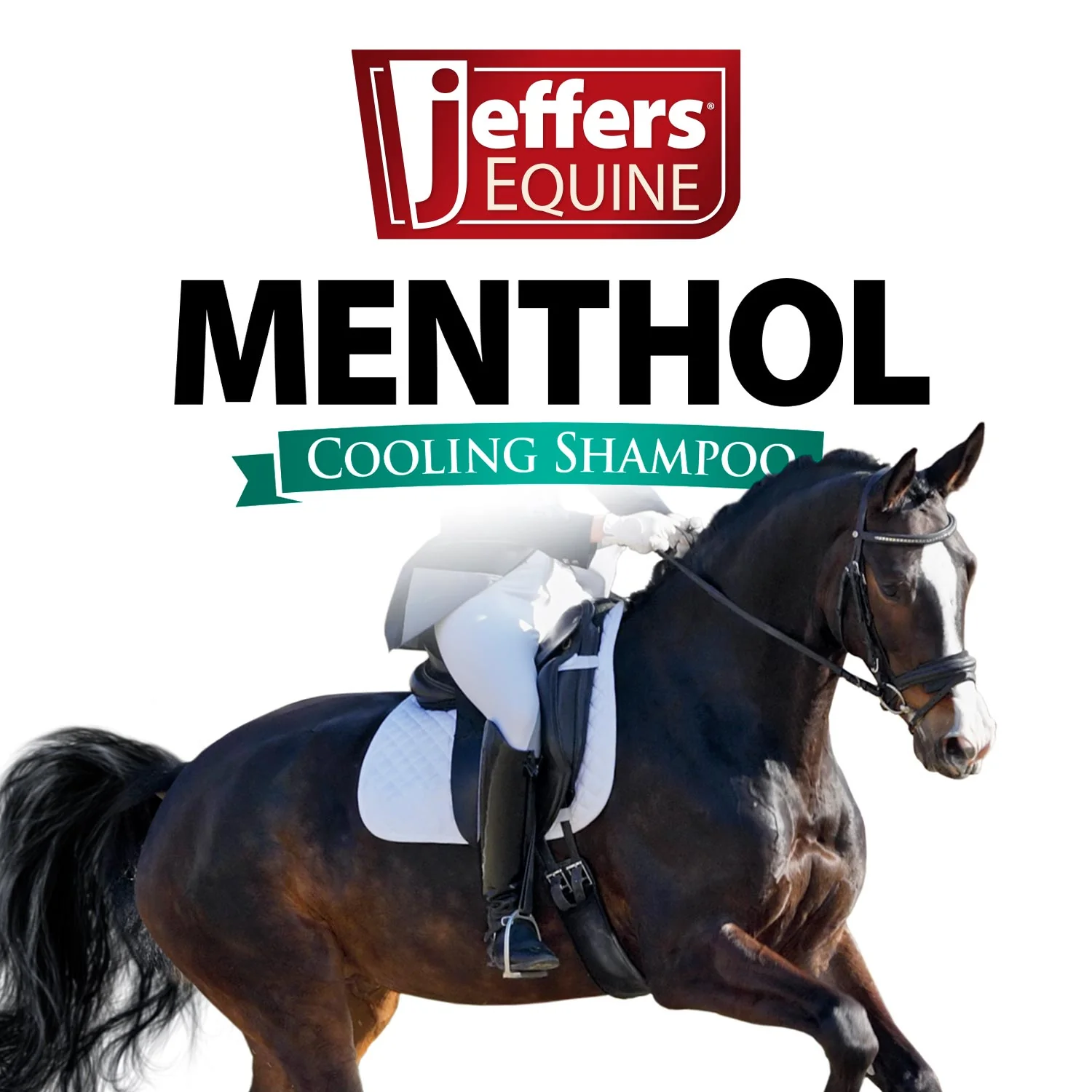 Jeffers Equine Menthol Cooling Shampoo for Horses - Image 8