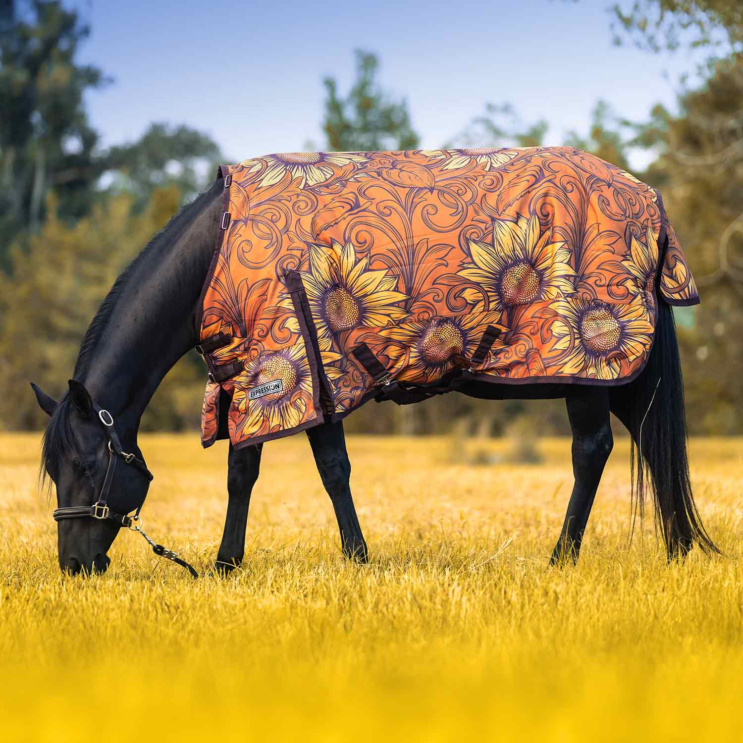 Jeffers Expression 1200 Denier Standard Neck Horse Turnout Sheet, 0 Gram - Image 10