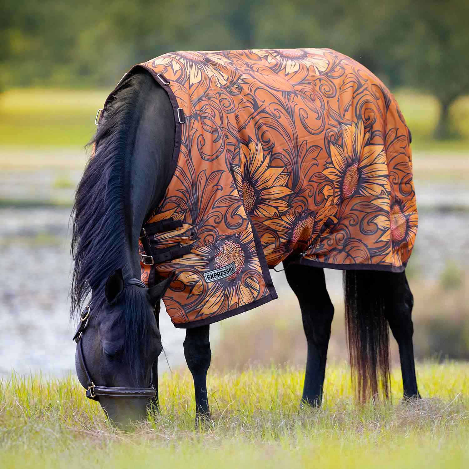 Jeffers Expression 1200 Denier Standard Neck Horse Turnout Sheet, 0 Gram - Image 11