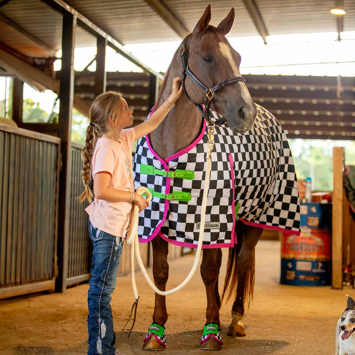 Jeffers Expression 1200 Denier Standard Neck Horse Turnout Sheet, 0 Gram - Image 18