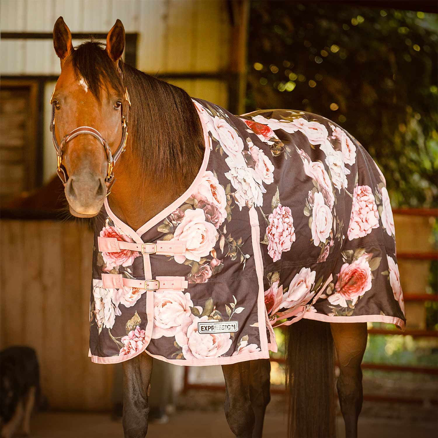 Jeffers Expression 1200 Denier Standard Neck Horse Turnout Sheet, 0 Gram - Image 20