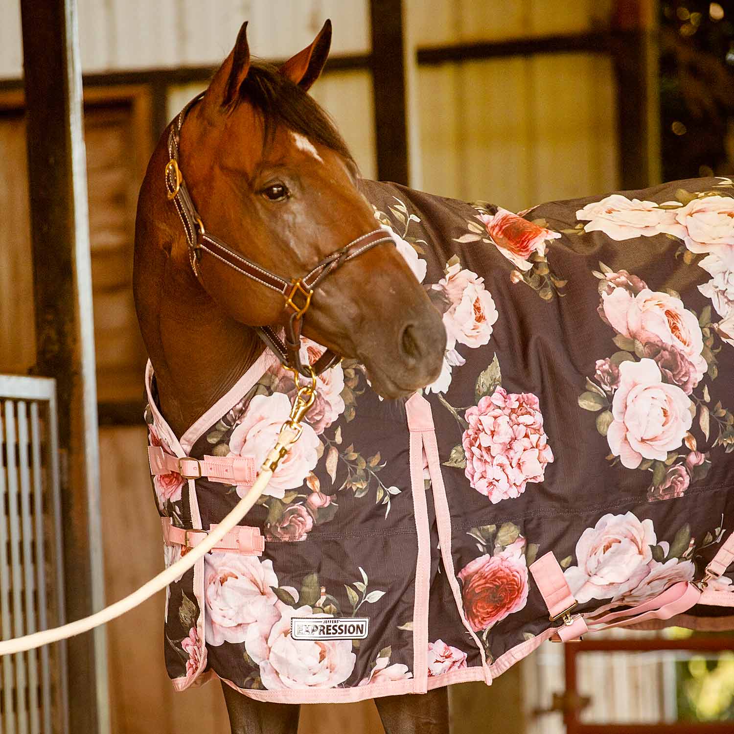 Jeffers Expression 1200 Denier Standard Neck Horse Turnout Sheet, 0 Gram - Image 23