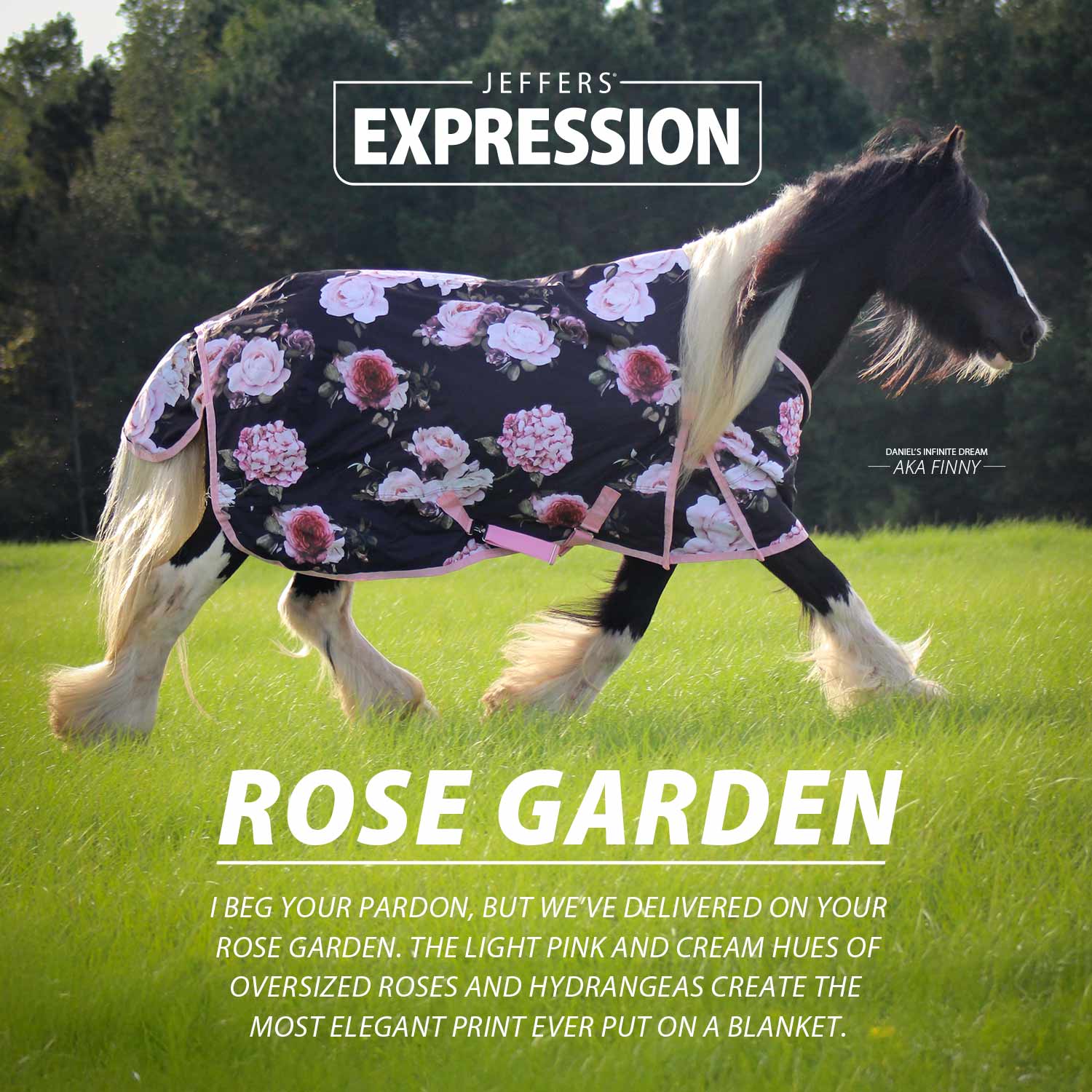 Jeffers Expression 1200 Denier Standard Neck Horse Turnout Sheet, 0 Gram - Image 24