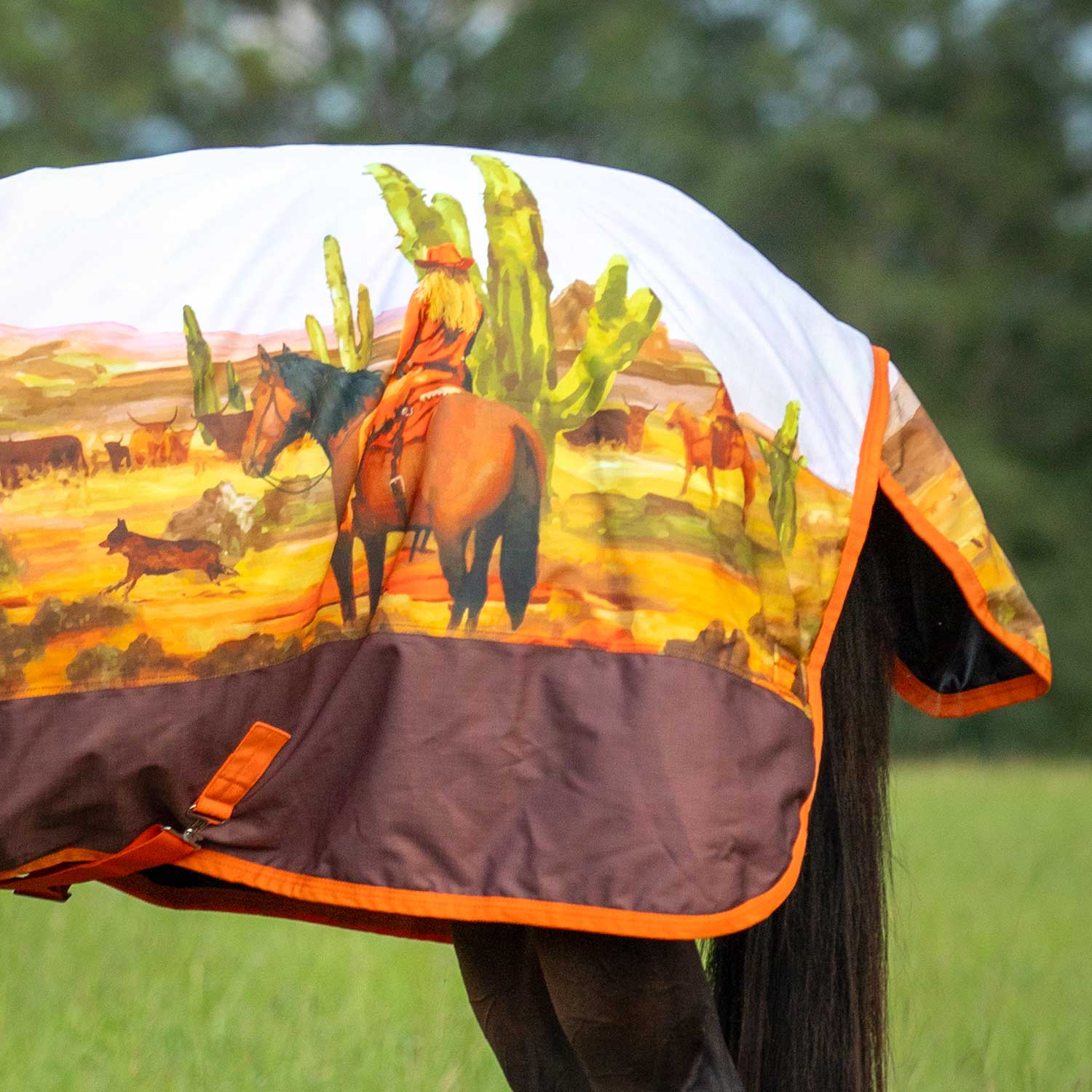Jeffers Expression 1200 Denier Standard Neck Horse Turnout Sheet, 0 Gram - Image 29