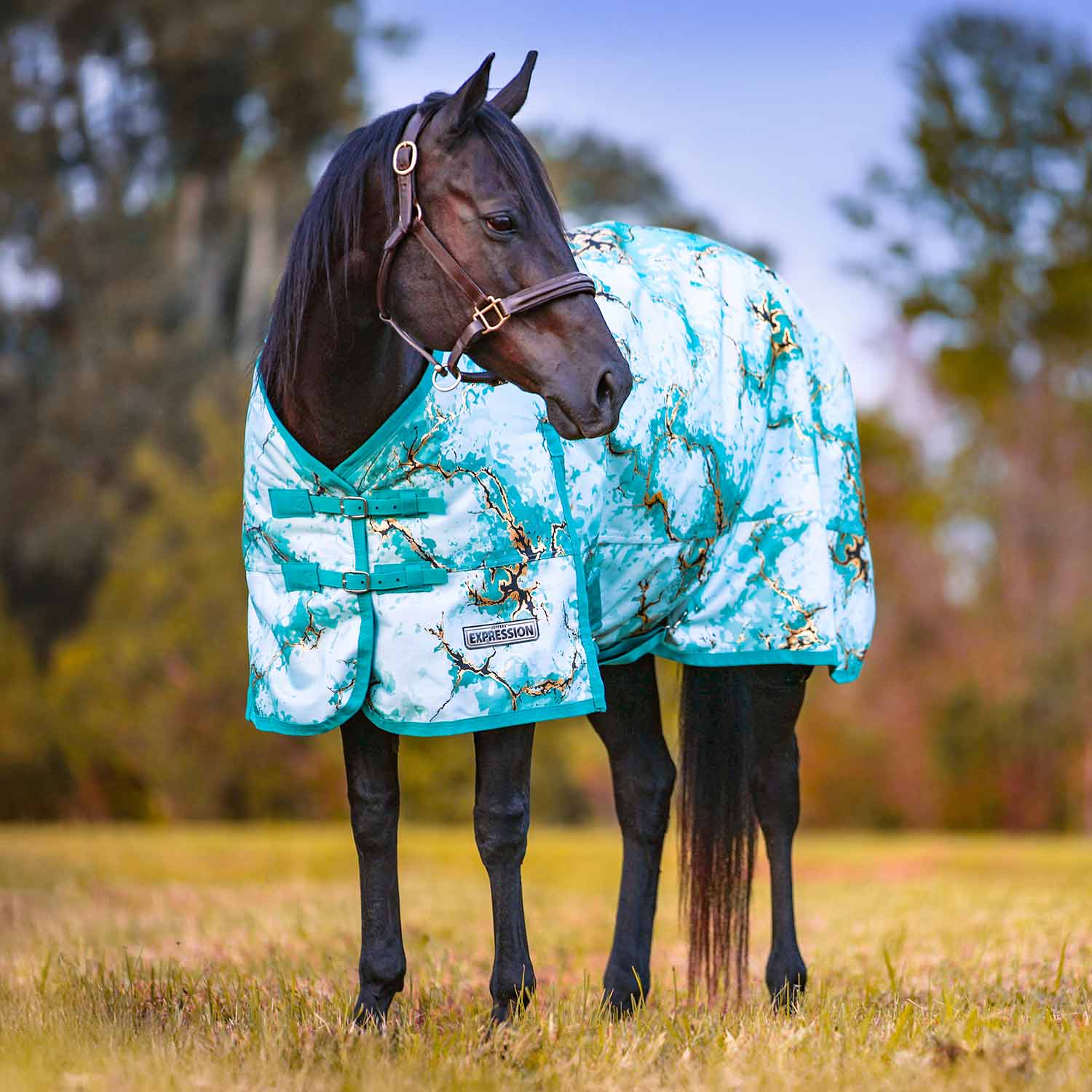 Jeffers Expression 1200 Denier Standard Neck Turnout Horse Blanket, 240 Gram - Image 9