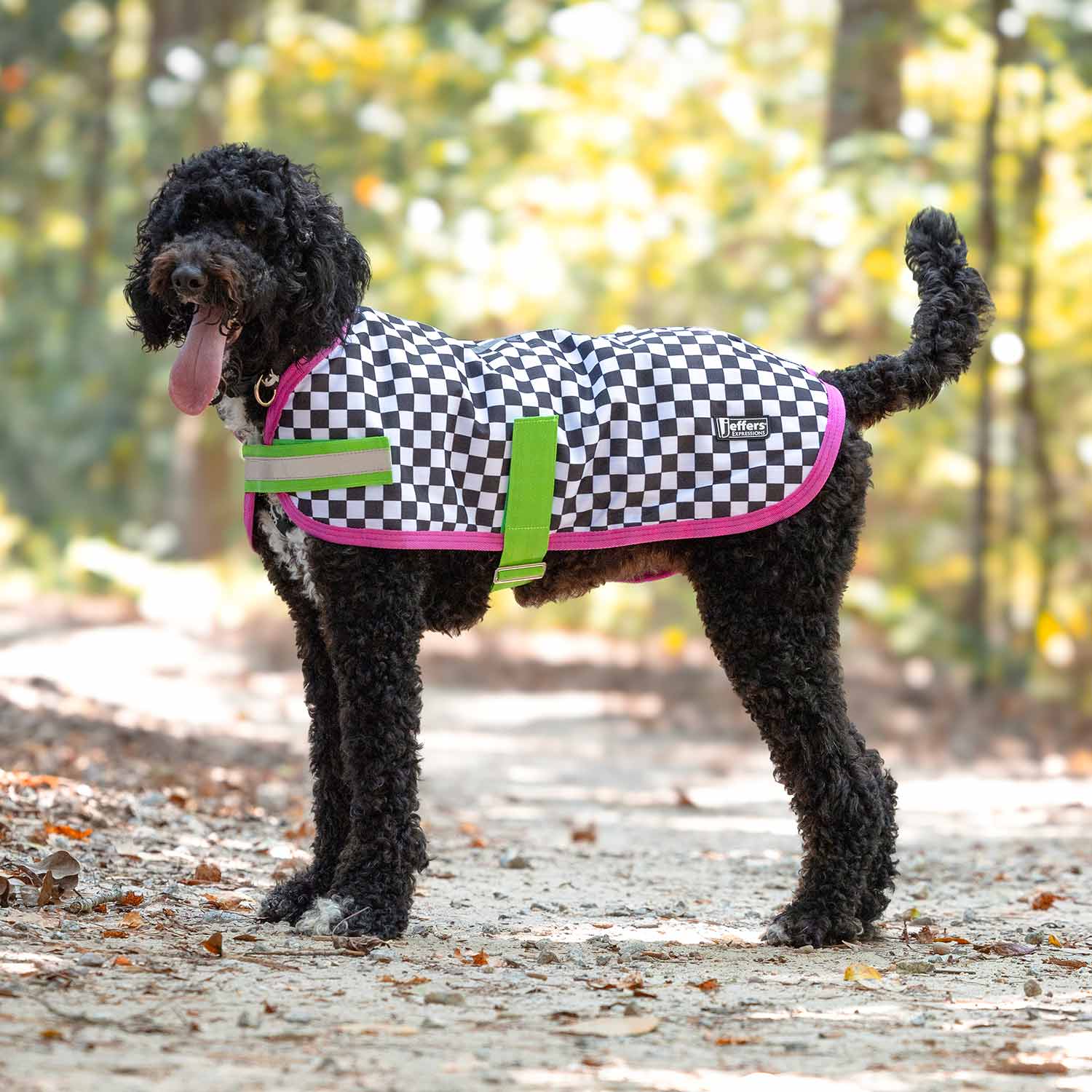Jeffers Expression 600D Waterproof Ripstop Dog Coat, 240 Gram - Image 24