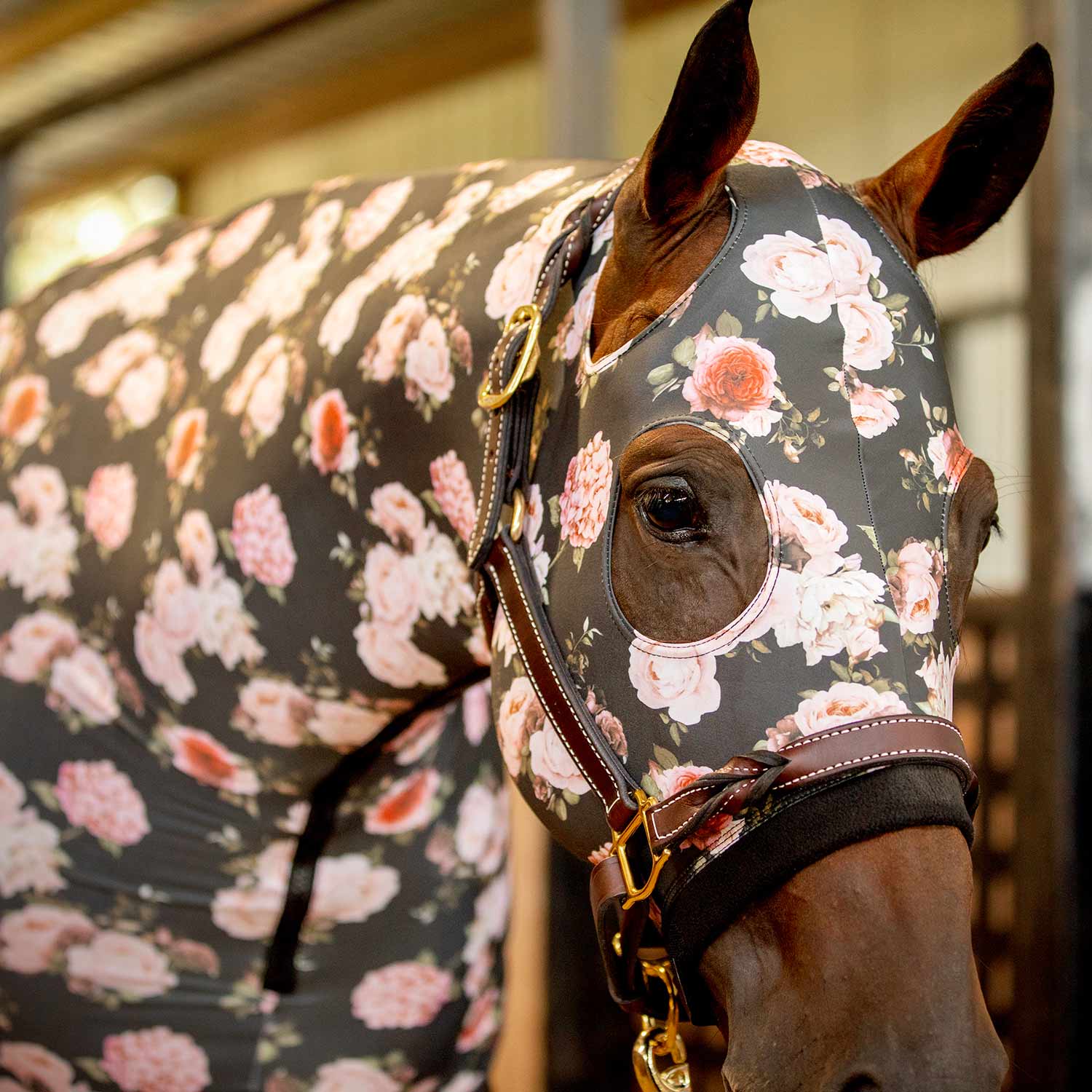 Jeffers Expression Lycra Hood for Horses - Image 11