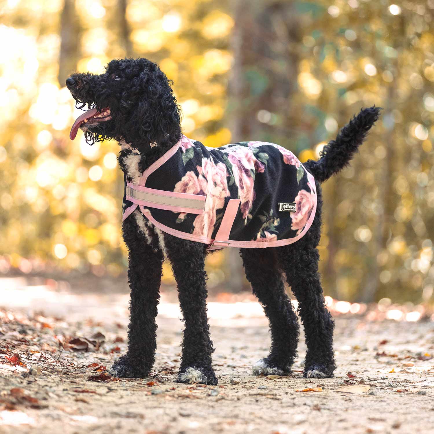 Jeffers Expression Moisture-Wicking Fleece Dog Coat - Image 10