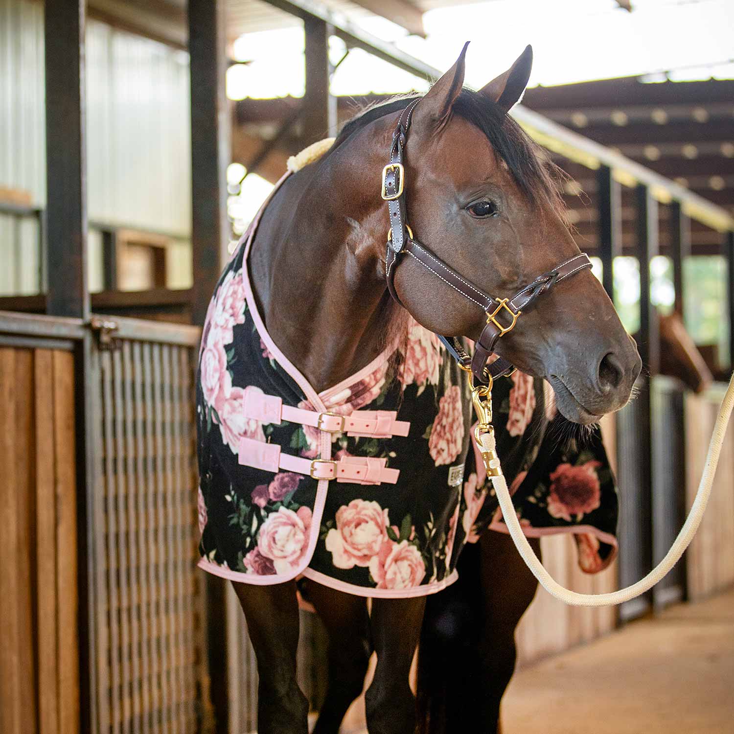 Jeffers Expression Standard Neck Fleece Horse Cooler - Image 5