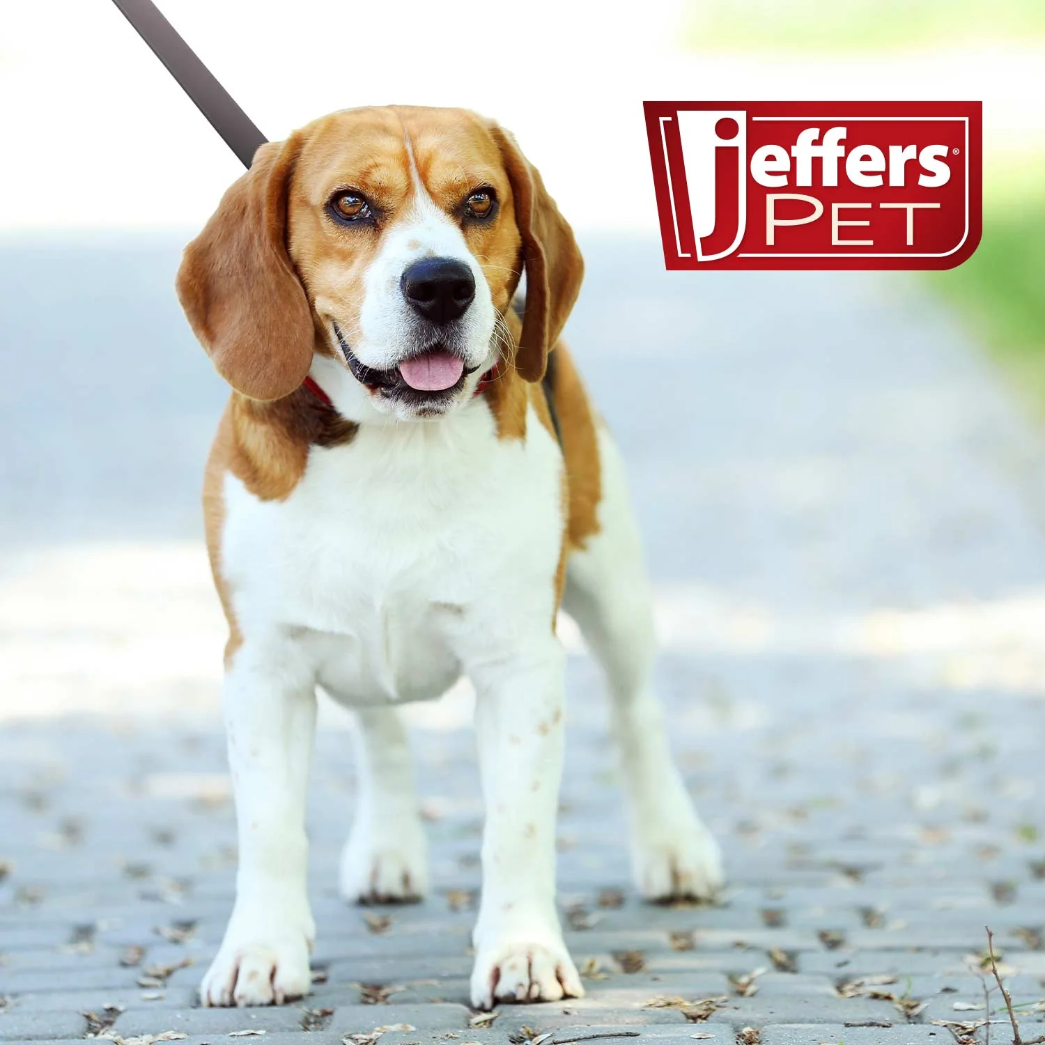 Jeffers Flat Leather Dog Leash with Hand Strap Handle, 6L - Image 2