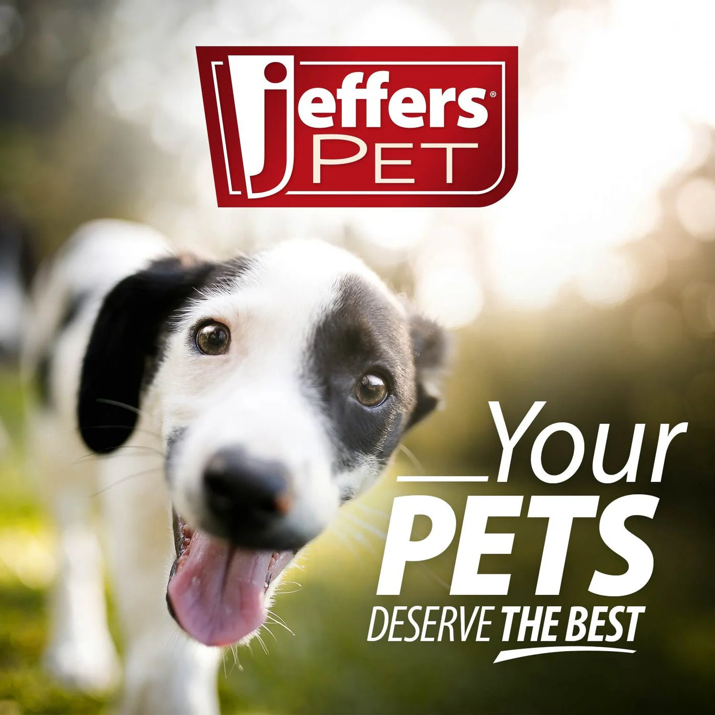 Jeffers Flat Leather Dog Leash with Hand Strap Handle, 6L - Image 8