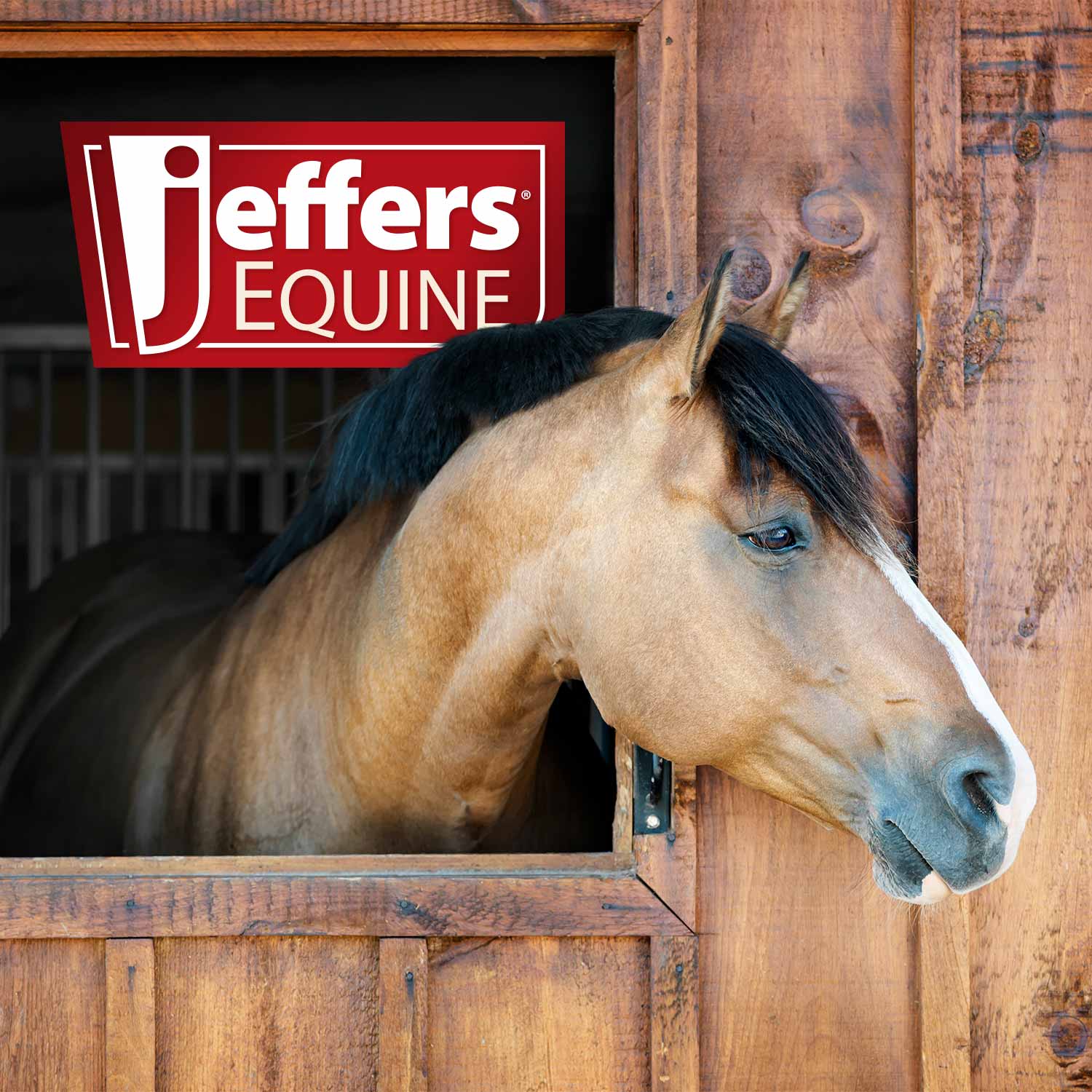 Jeffers Horse Grooming Fetlock Shears, Stainless Steel - Image 5