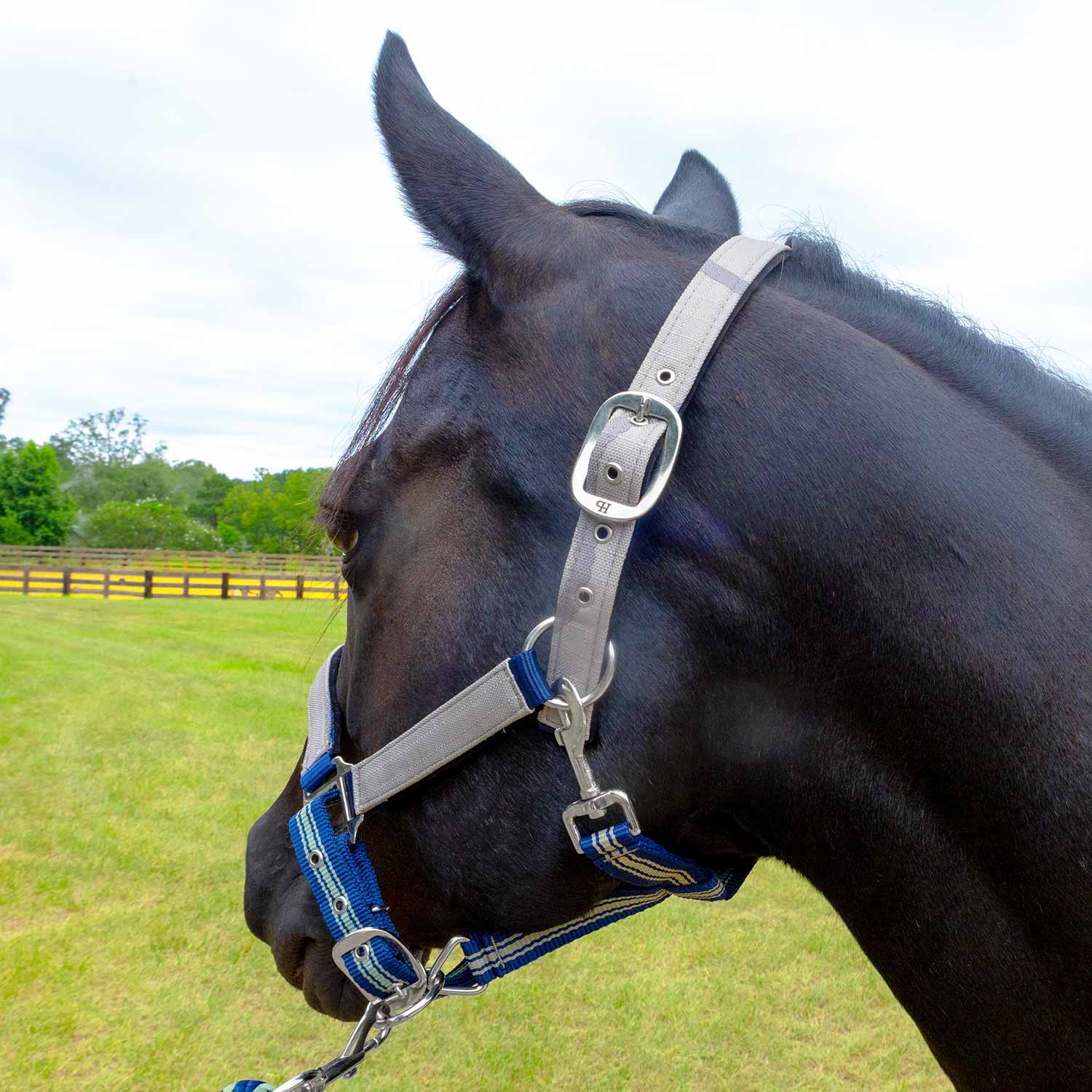 Jeffers Matching Horse Halter & Lead Rope 2 Piece Set, Full Size - Image 17