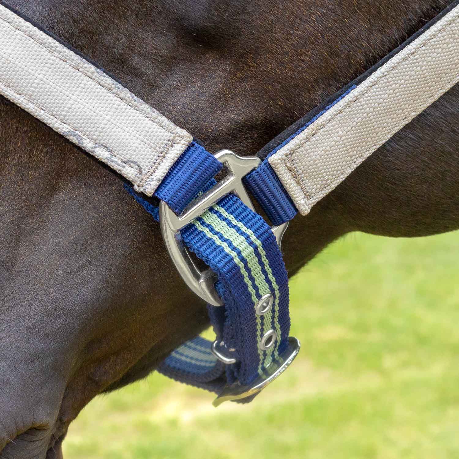 Jeffers Matching Horse Halter & Lead Rope 2 Piece Set, Full Size - Image 18