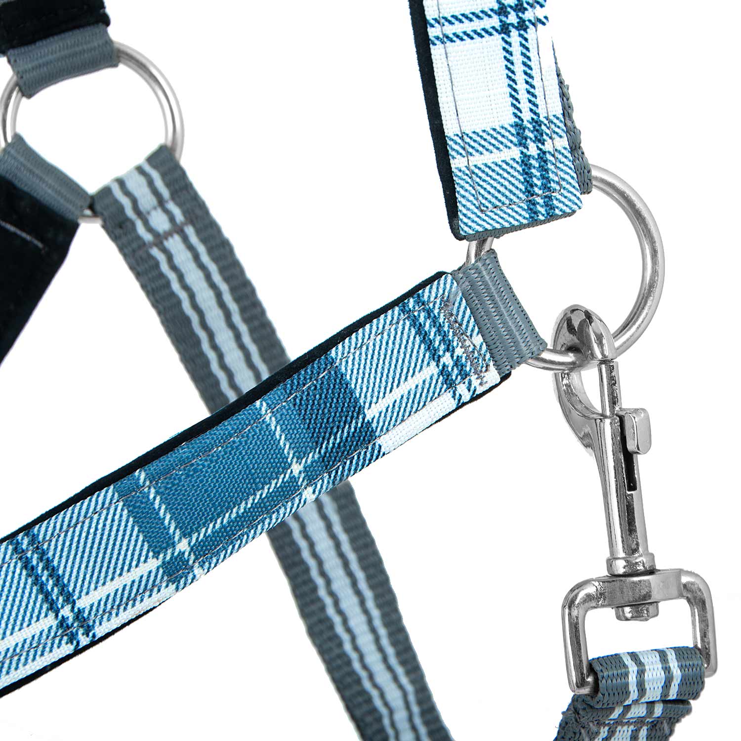 Jeffers Matching Horse Halter & Lead Rope 2 Piece Set, Full Size - Image 25