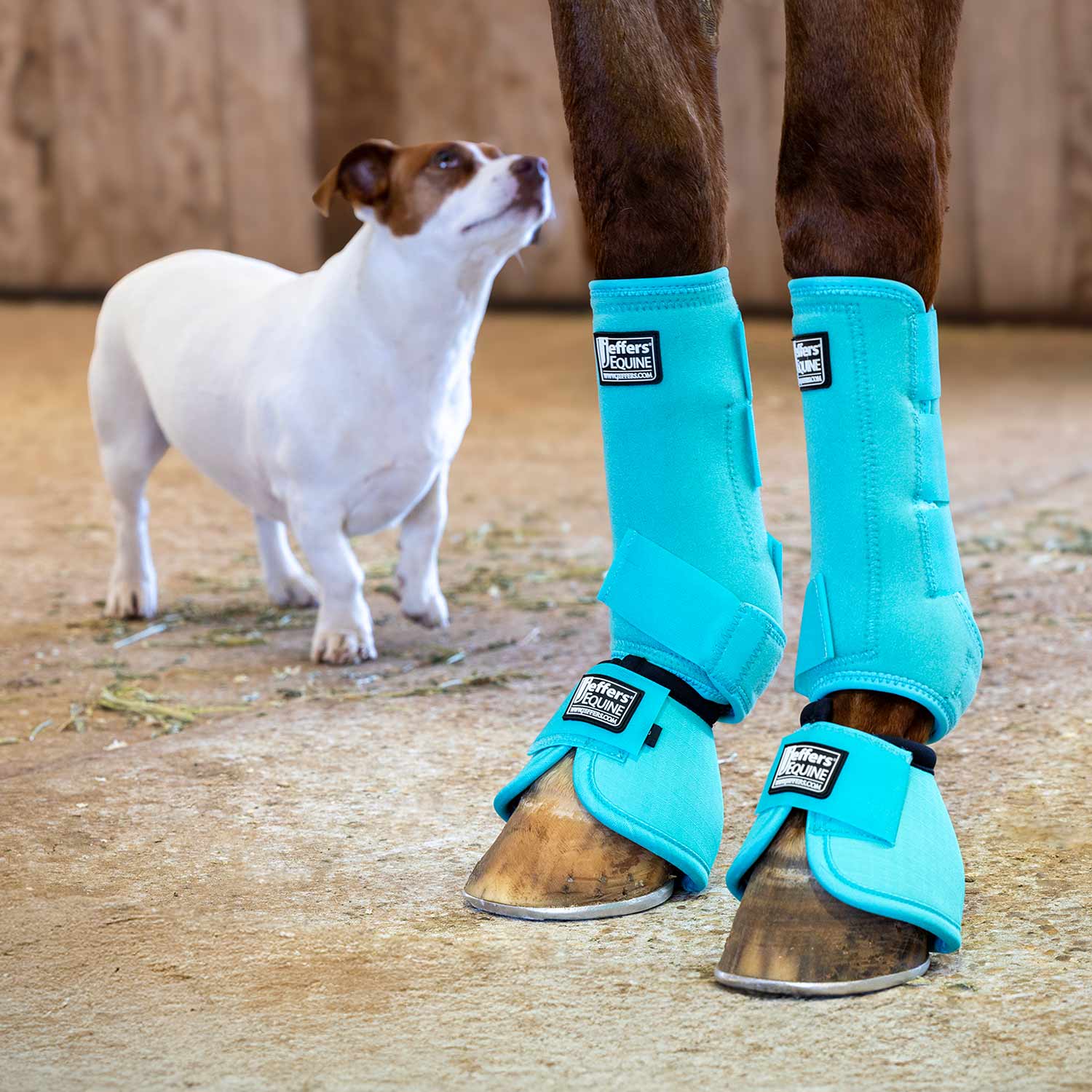 Jeffers No-Turn Bell Boots for Horses, Solid Colors, 2 ct - Image 23