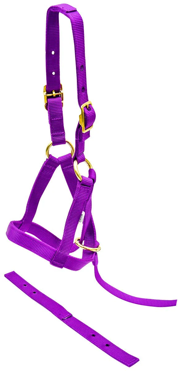 Jeffers Nylon "Grow With Me" Weanling Horse Halter, 3/4"W - Image 4