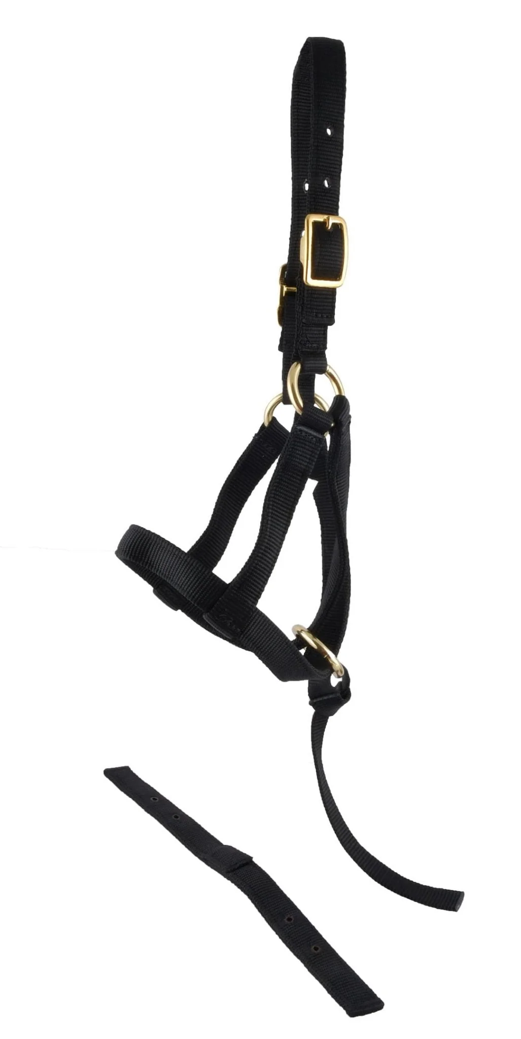 Jeffers Nylon "Grow With Me" Weanling Horse Halter, 3/4"W - Image 5