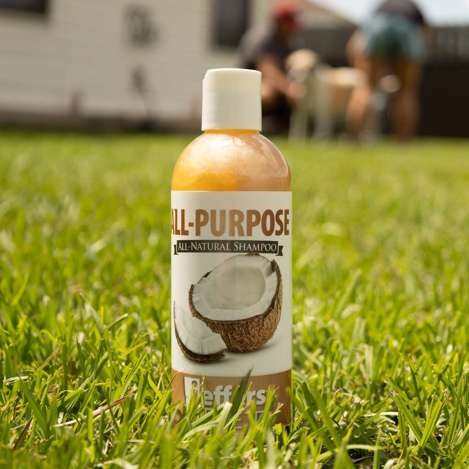 Jeffers Pet Tearless All-Purpose All-Natural Coconut Oil Shampoo for Dogs & Cats - Image 2