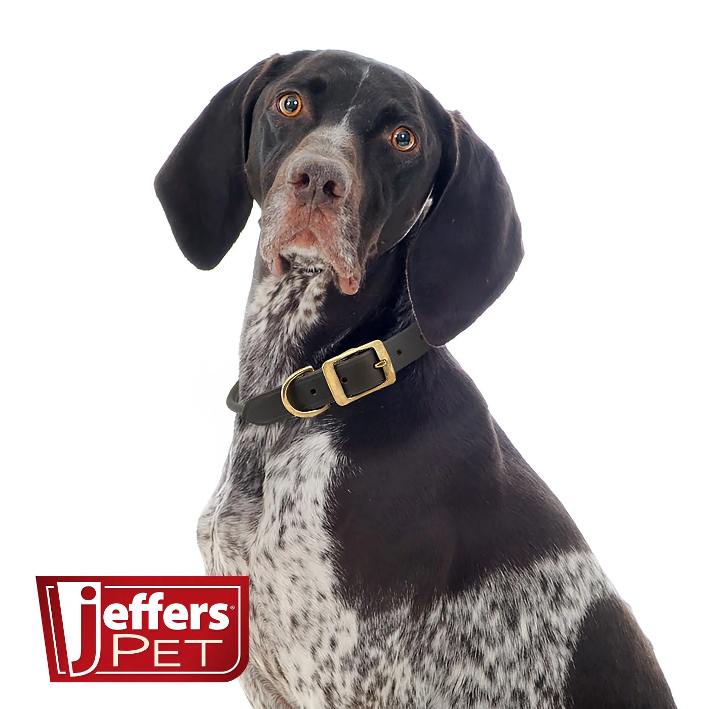 Jeffers Rolled Leather Dog Collars with Brass Hardware - Image 2