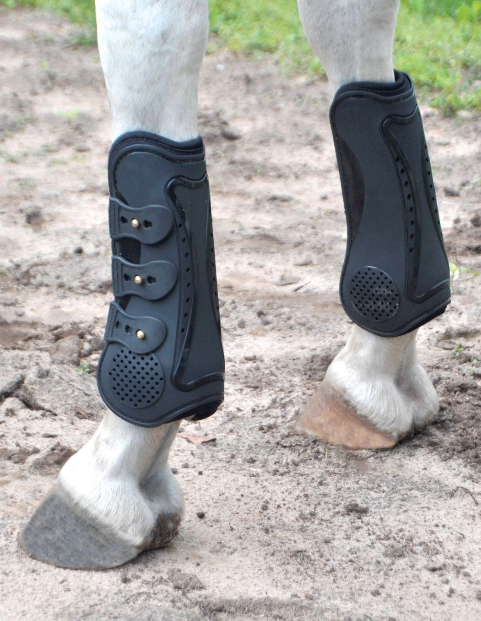 Jeffers Uniquely English Horse Tendon Boots, 2-Pack - Image 8