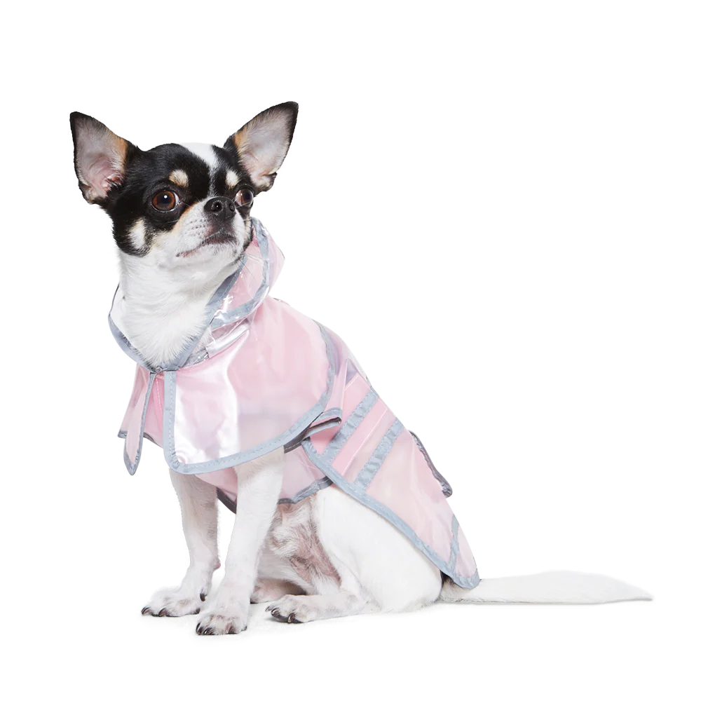 Jelly Raincoat - Image 5