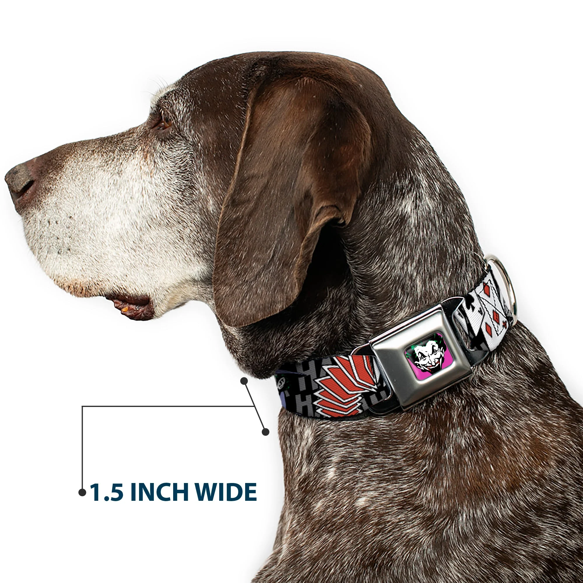 Joker Face Full Color Seatbelt Buckle Collar - The Joker Pose/Cards/HAHAHAHA Black/Gray - Image 7
